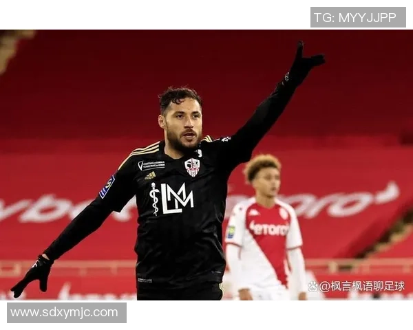 2018年突尼斯足球明星的辉煌表现与影响力分析