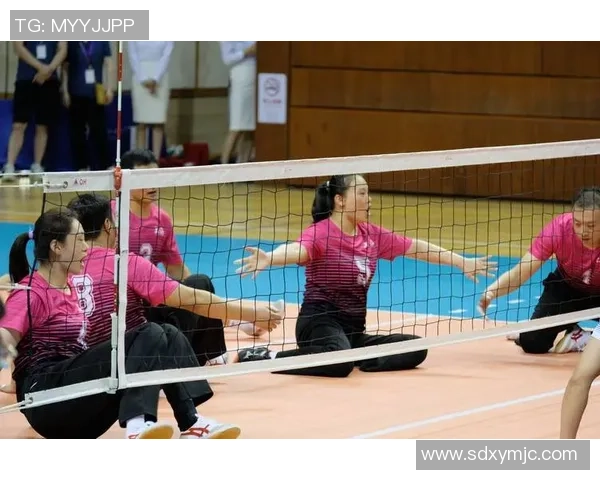 2023年排球力量排行榜揭晓上海排球队强势夺冠引发热议