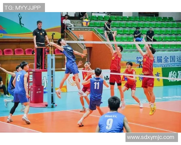 重庆排球队比赛经验的创新与变革引发热议 重庆排球队比赛经验的创新与变革引发热议