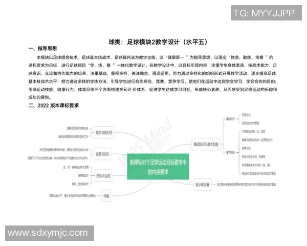 从足球明星到体育教育的转型之路与影响力探讨
