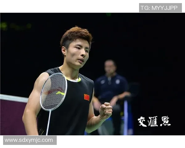 南京羽毛球队在世锦赛中的节奏表现分析与未来展望