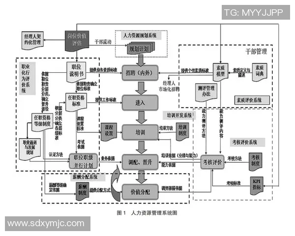 武汉排球队的转型之路：深度解析排球战术与团队协作的变革