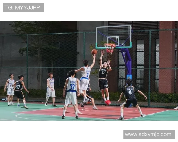 深圳篮球队的力量变革引发热议探索新战术与团队协作的未来发展之路