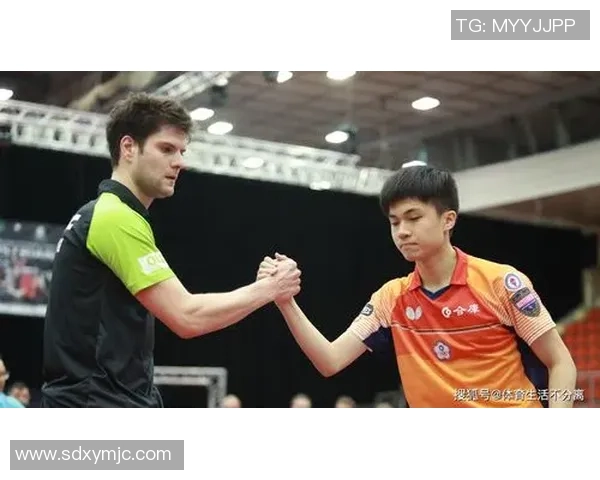 深圳羽毛球队进攻体系解析：战术运用与实战技巧的全面探讨