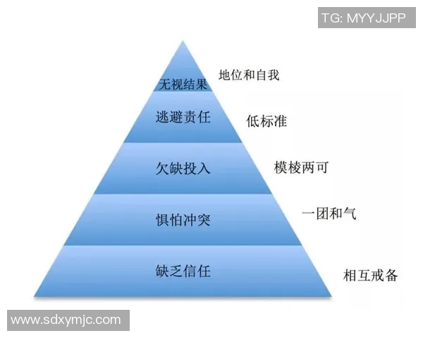聚焦上海足球队团队协作的成功之道与未来发展展望