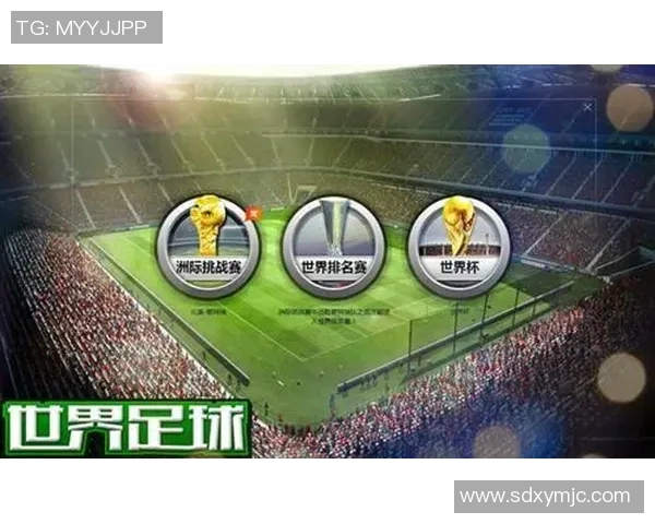 北京足球队在挑战赛中的实力分析与表现评估