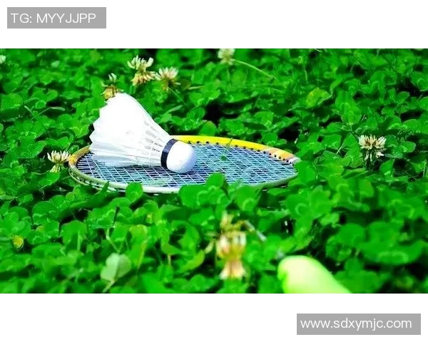 羽毛球新手必看：从零开始的比赛经验与技巧全面指南