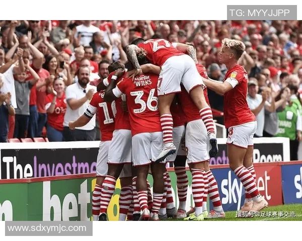 全球女足球明星盘点她们如何改变了足球的未来与形象